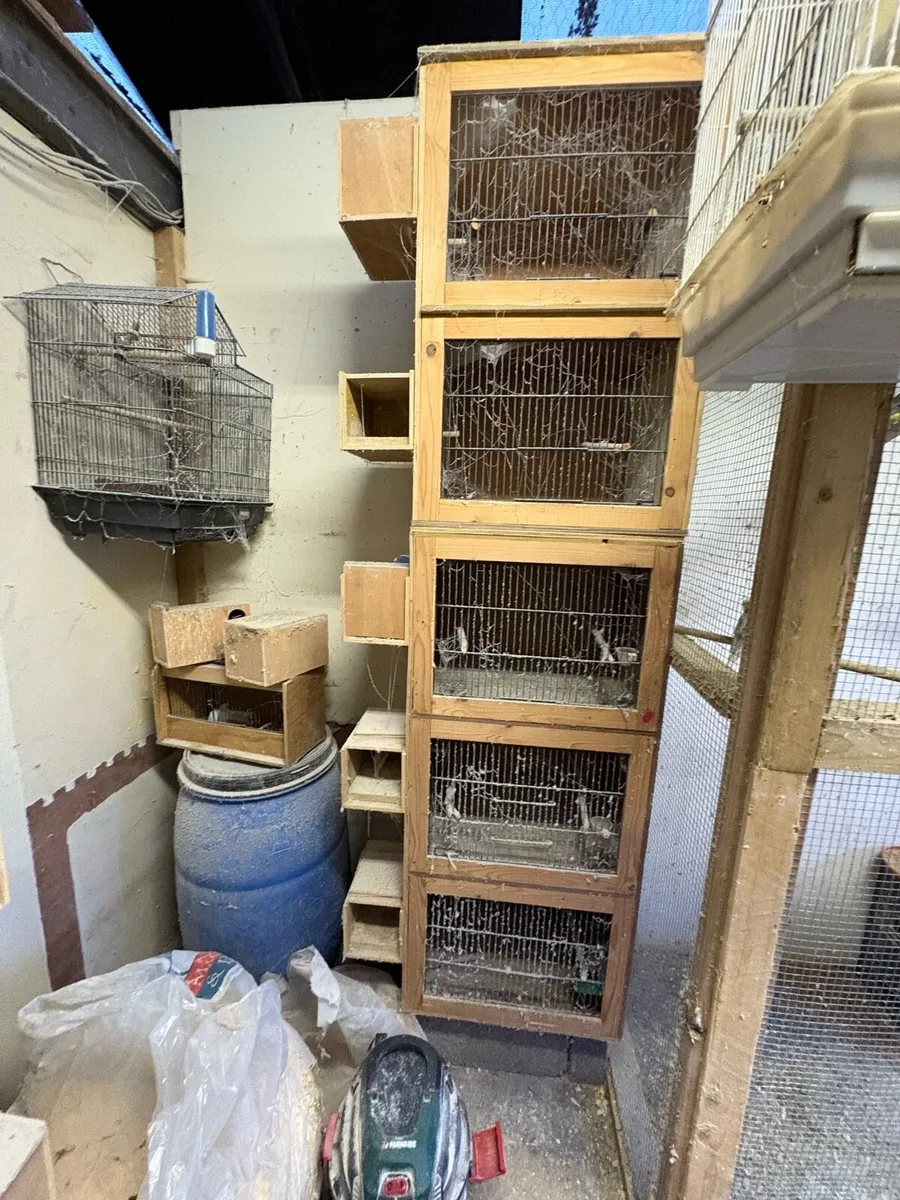 Breeding cages - Image 1