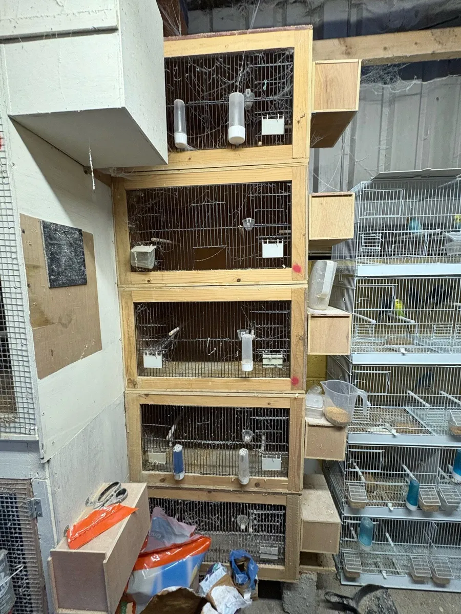 Breeding cages - Image 2