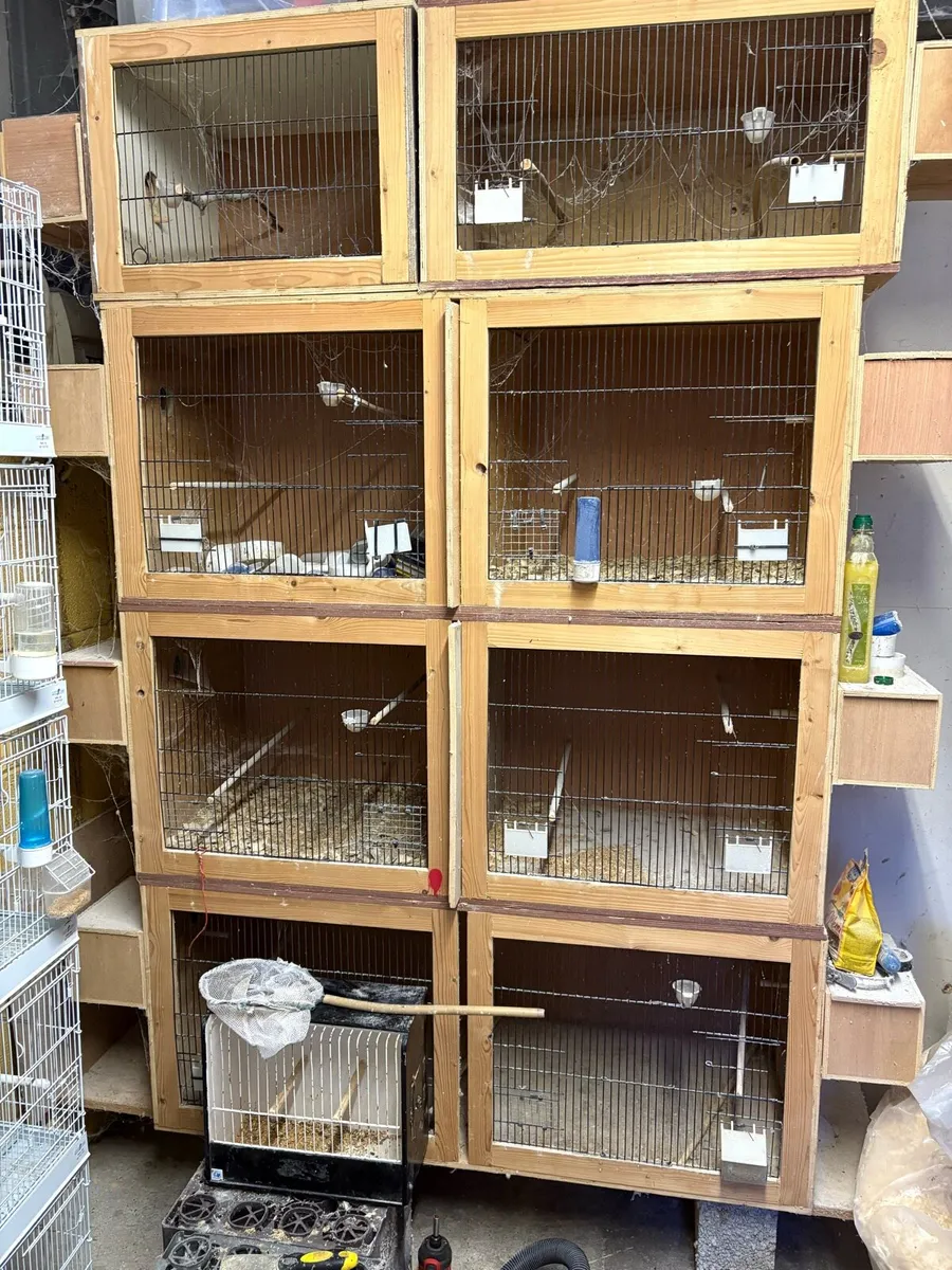 Breeding cages - Image 3