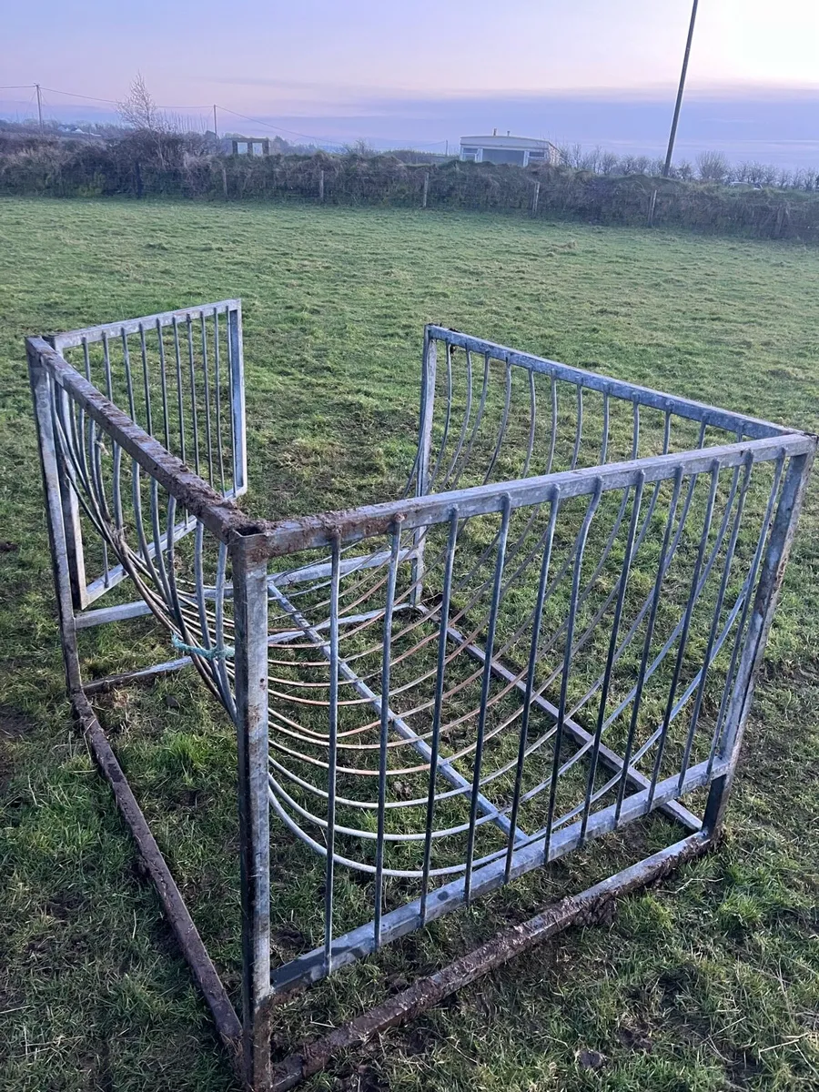 Sheep feeder - Image 2