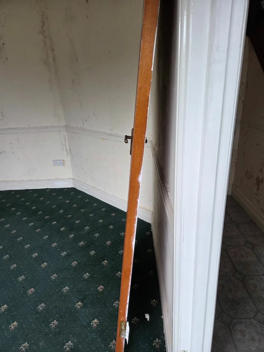 Internal Doors - Image 3