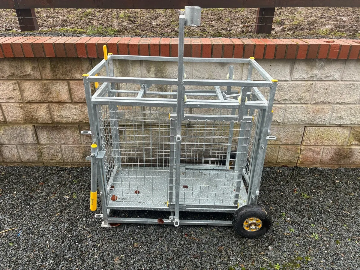 Sheep lamb weight scales. - Image 1