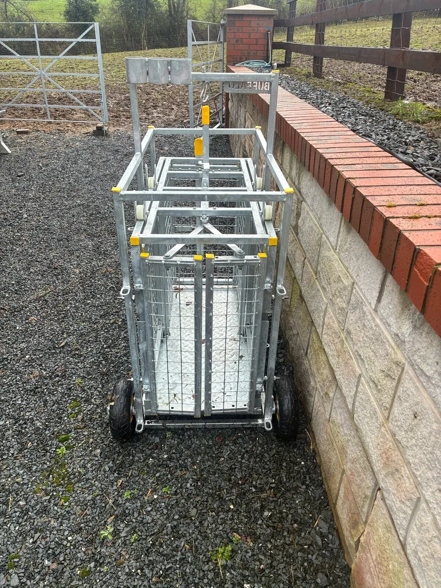 Sheep lamb weight scales. - Image 3