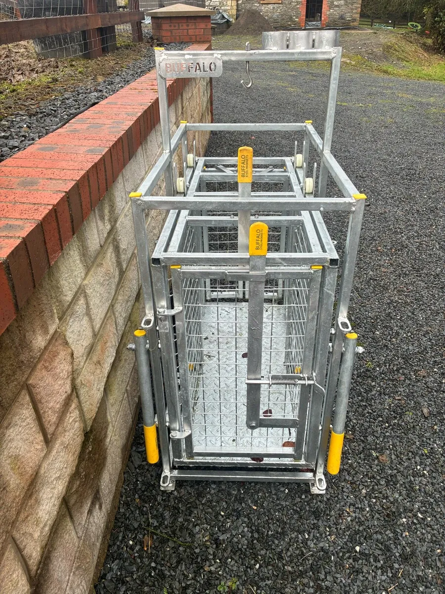 Sheep lamb weight scales. - Image 4