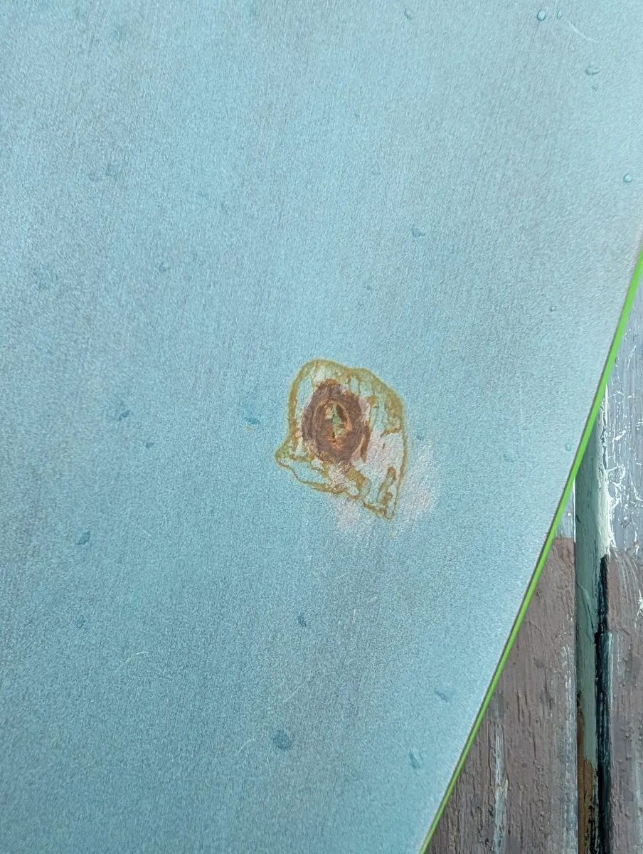 Gong Mint FSP Pro 5'4 (95L) - Image 2