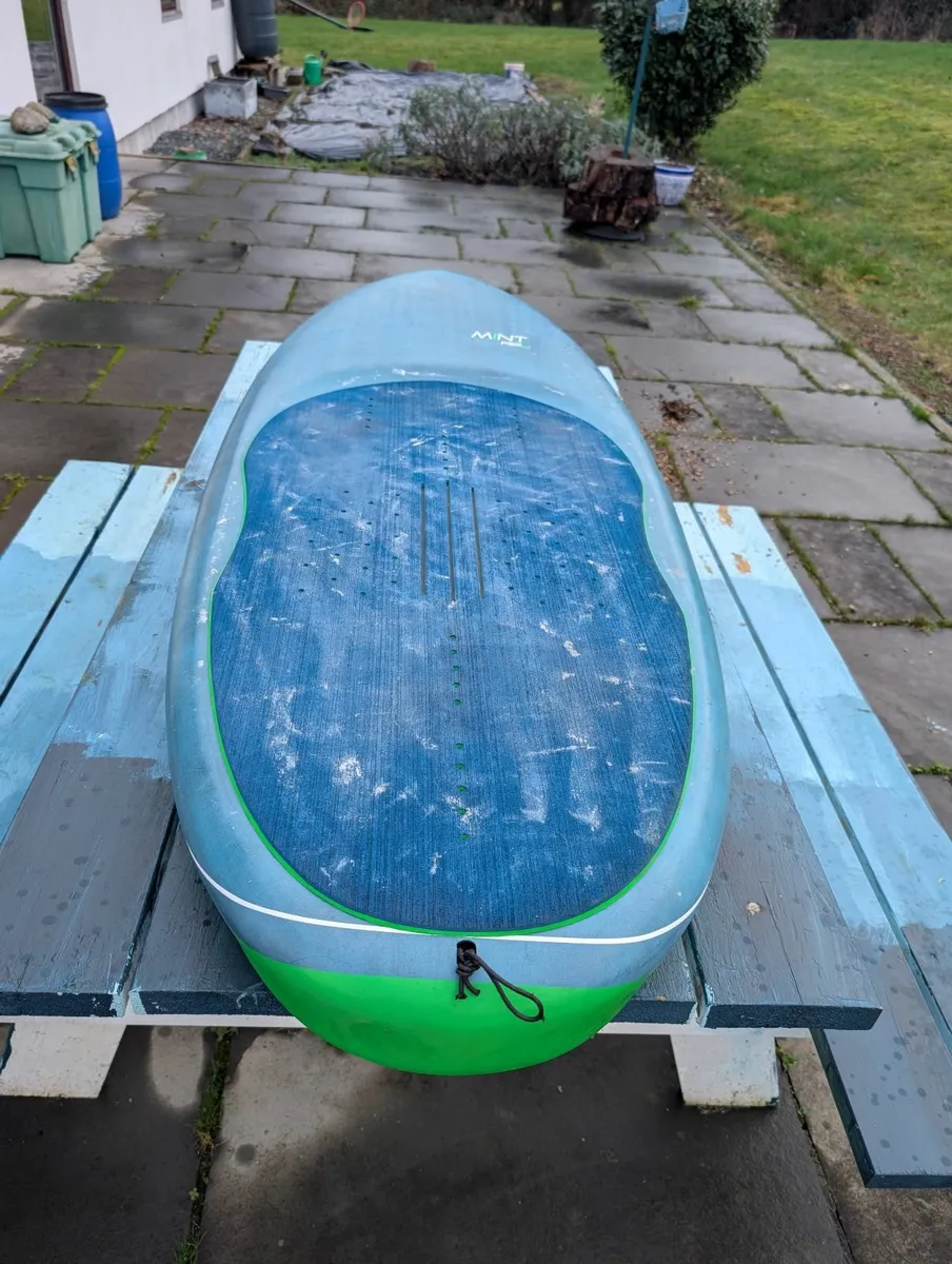 Gong Mint FSP Pro 5'4 (95L) - Image 1