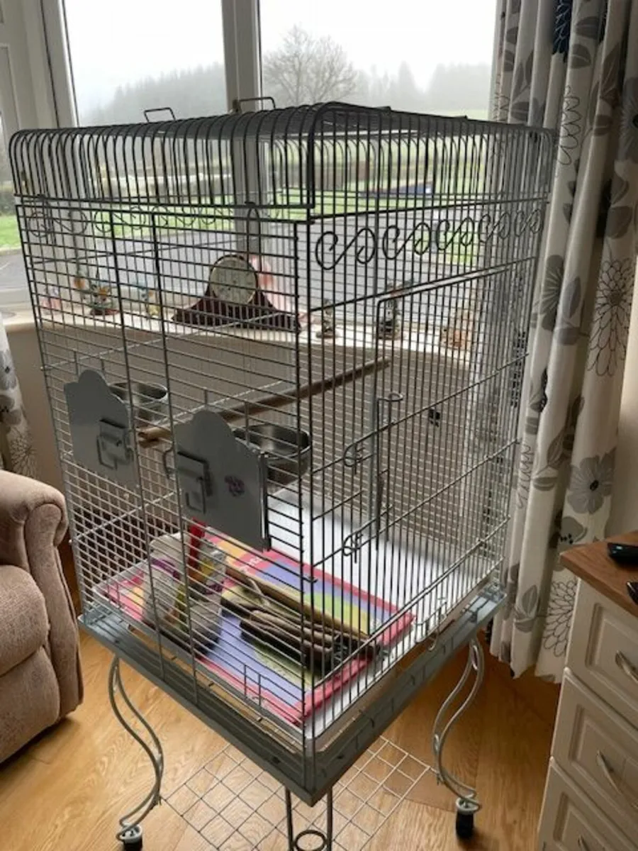 Bird Cage - Image 2