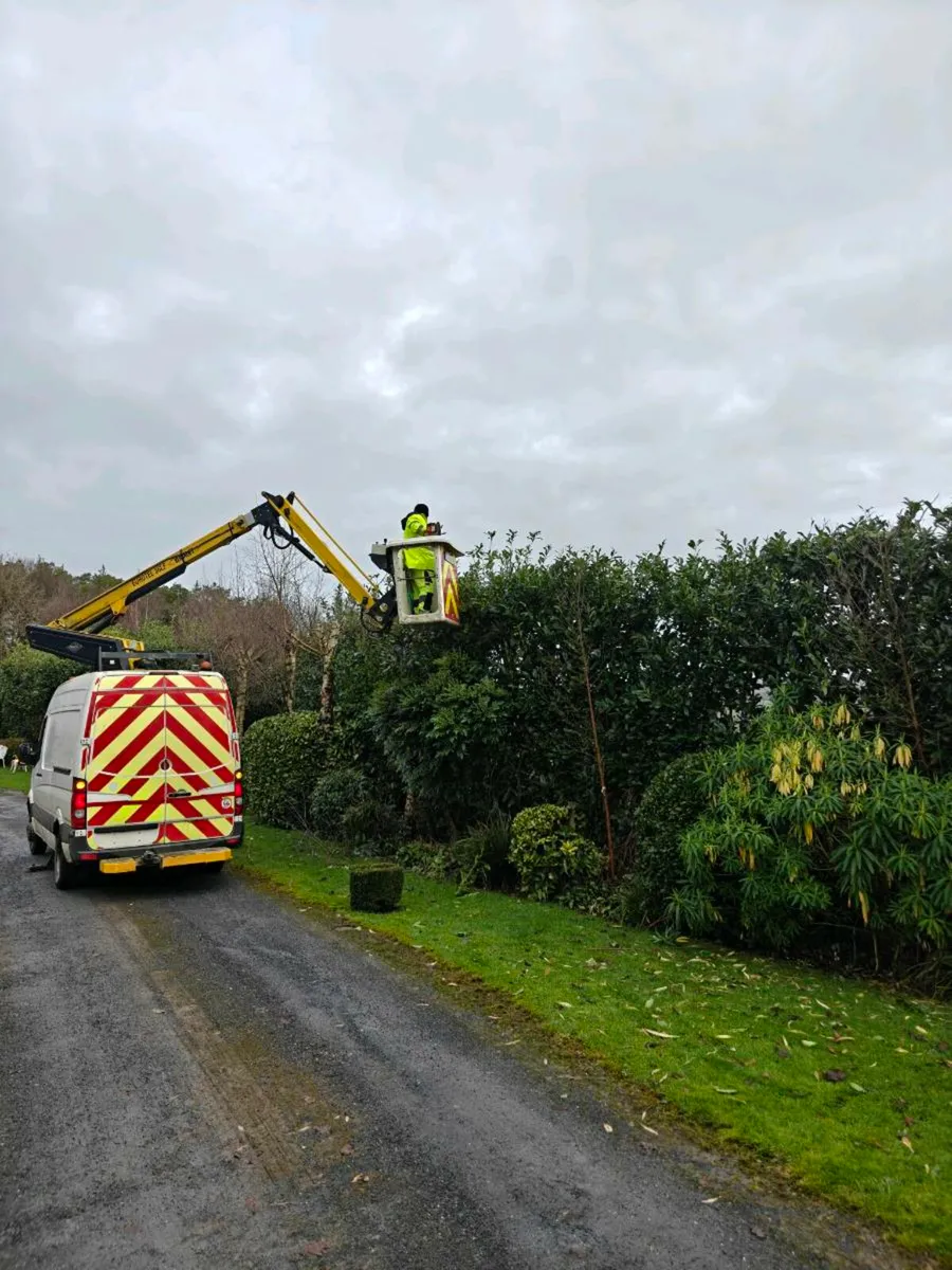 Cherrypicker for hire with operator - Image 2