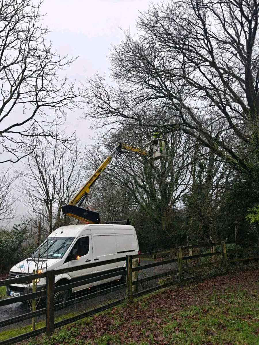 Cherrypicker for hire with operator - Image 4