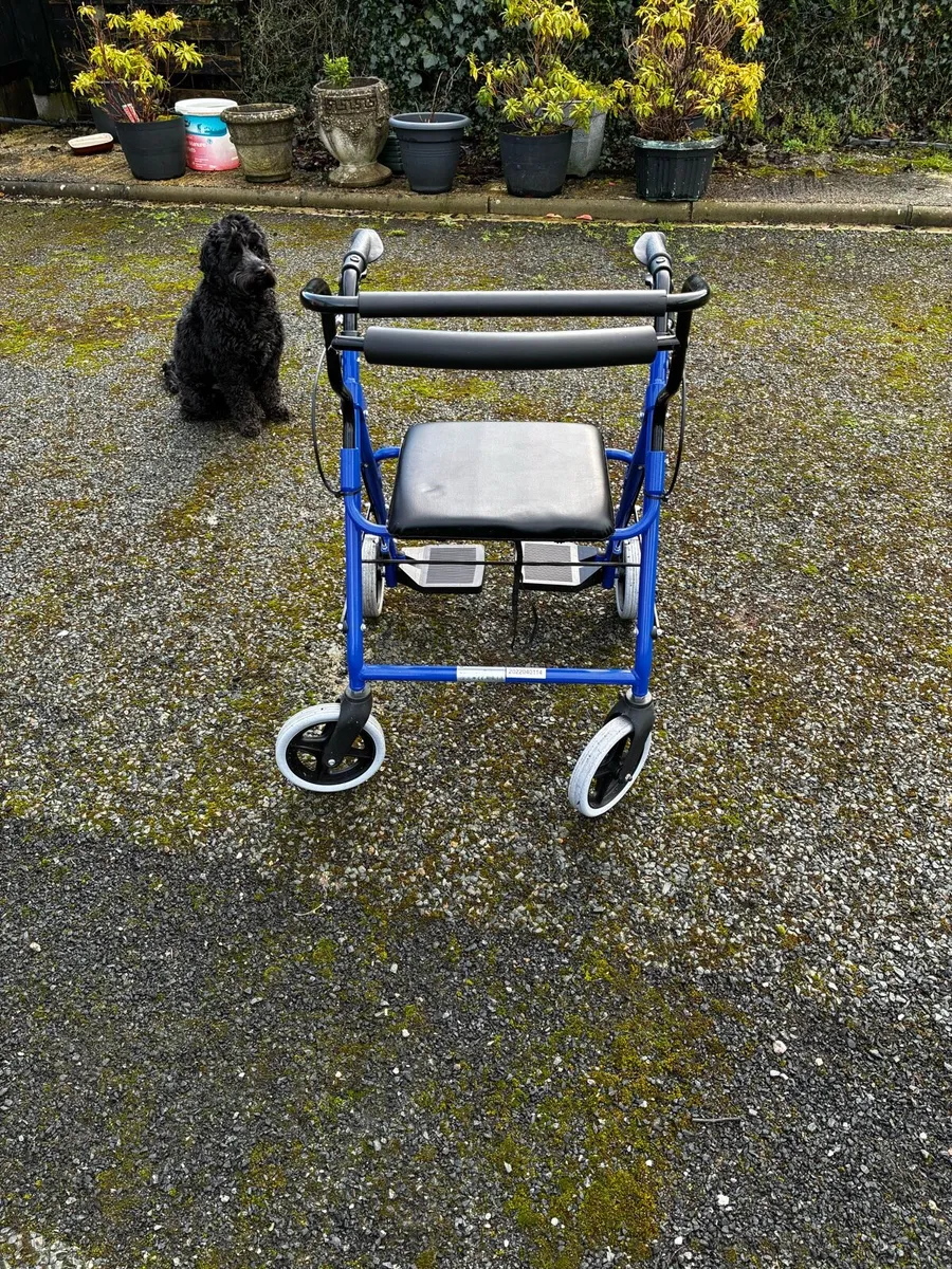 Stroler come wheelchair so handy - Image 1