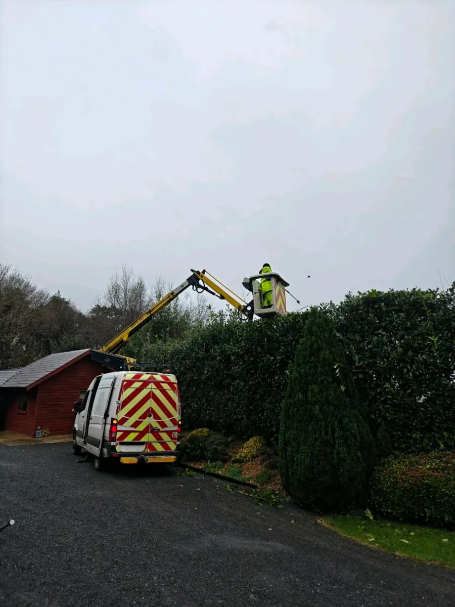 Cherrypicker for hire with operator - Image 1