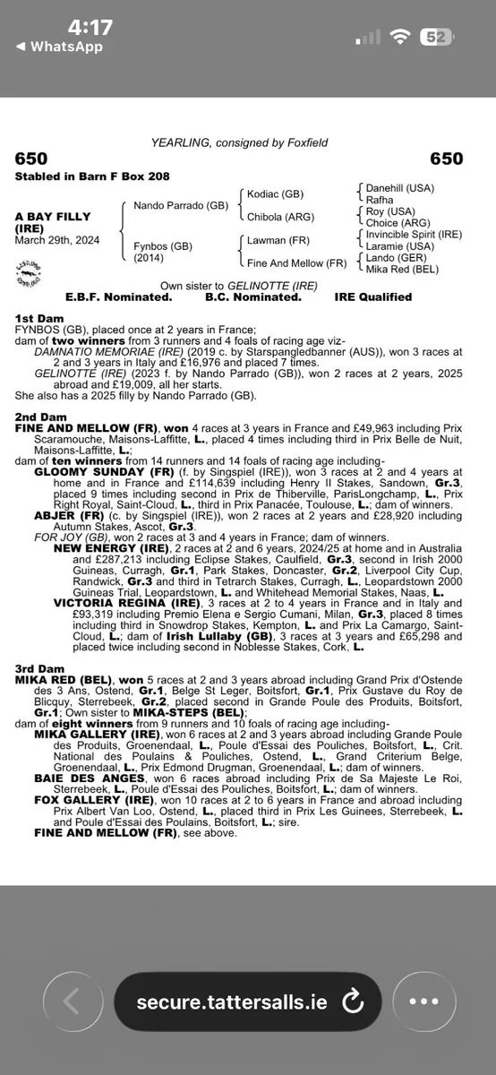 Lawman mare. Bred 2 winners - Image 2