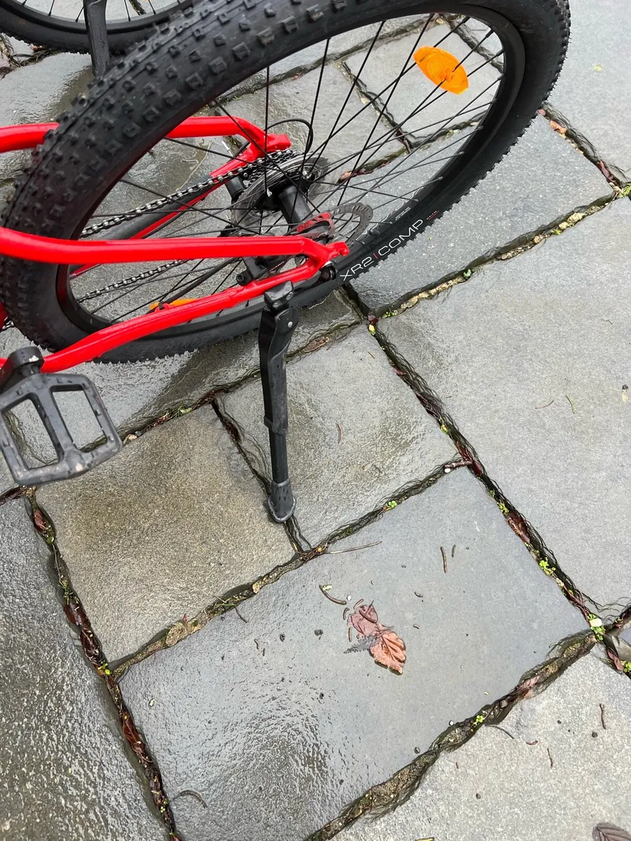 Trek Bicycle - Image 3