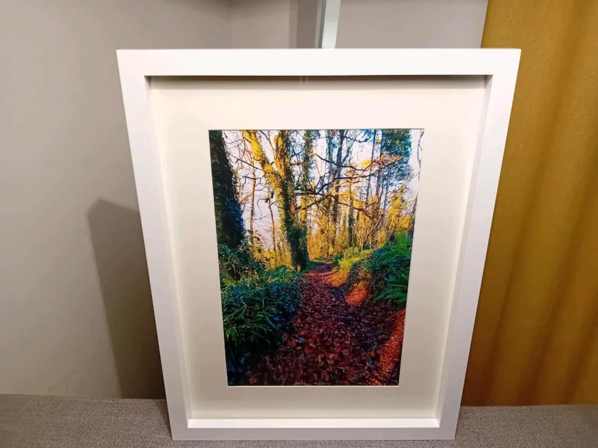 Glenbower Woods - Image 3