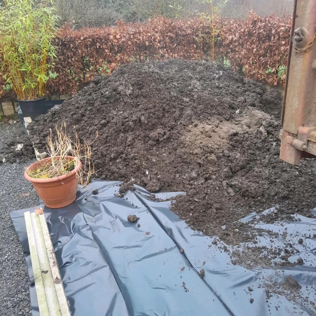 Mushroom compost for sale - Image 1