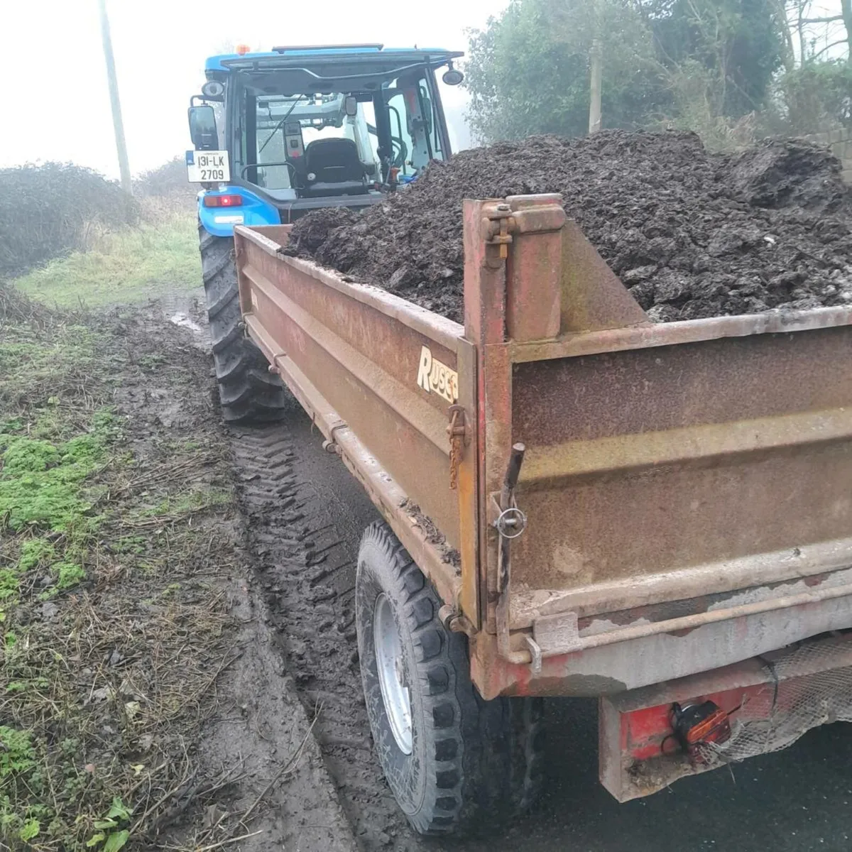Mushroom compost for sale - Image 2