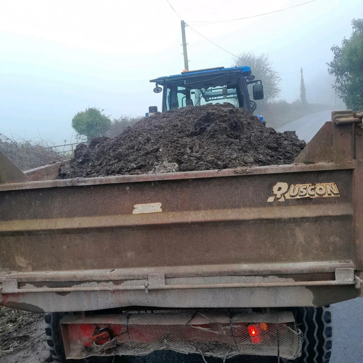 Mushroom compost for sale - Image 3
