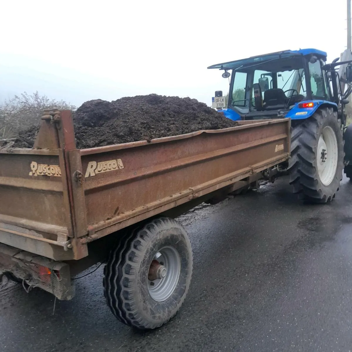 Mushroom compost for sale - Image 4