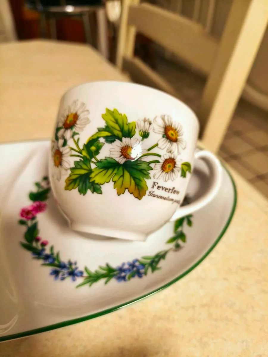 Royal Worcester 'herbs' duo, cup + sandwich plate - Image 3