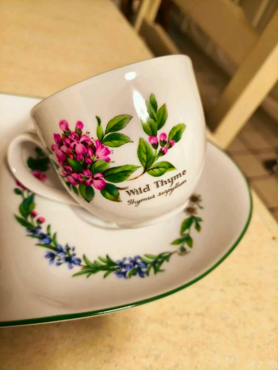 Royal Worcester 'herbs' duo, cup + sandwich plate - Image 4