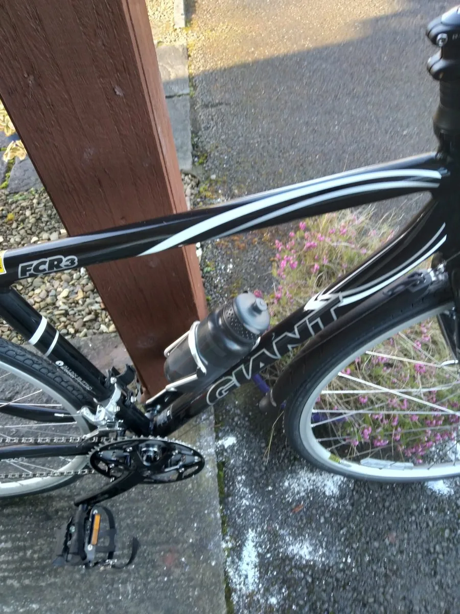 Hybrid Bike Giant. Brand New - Image 1