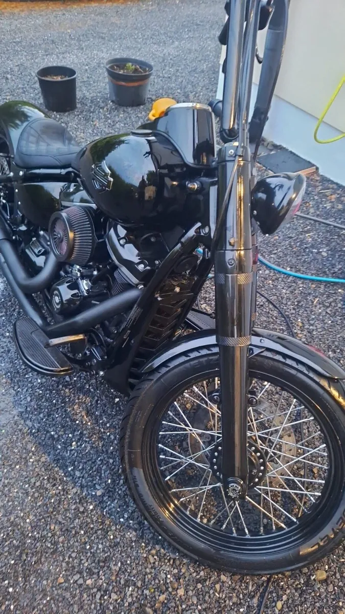 Harley Davidson Costum Slim - Image 2