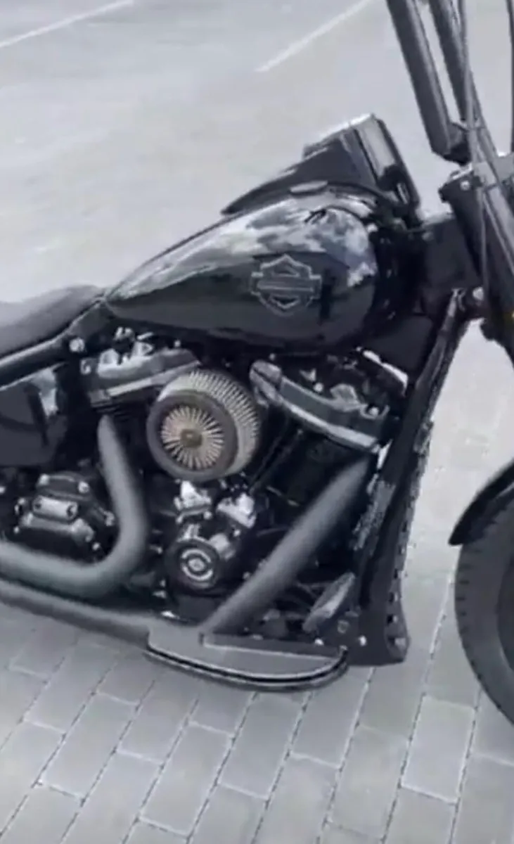 Harley Davidson Costum Slim - Image 3