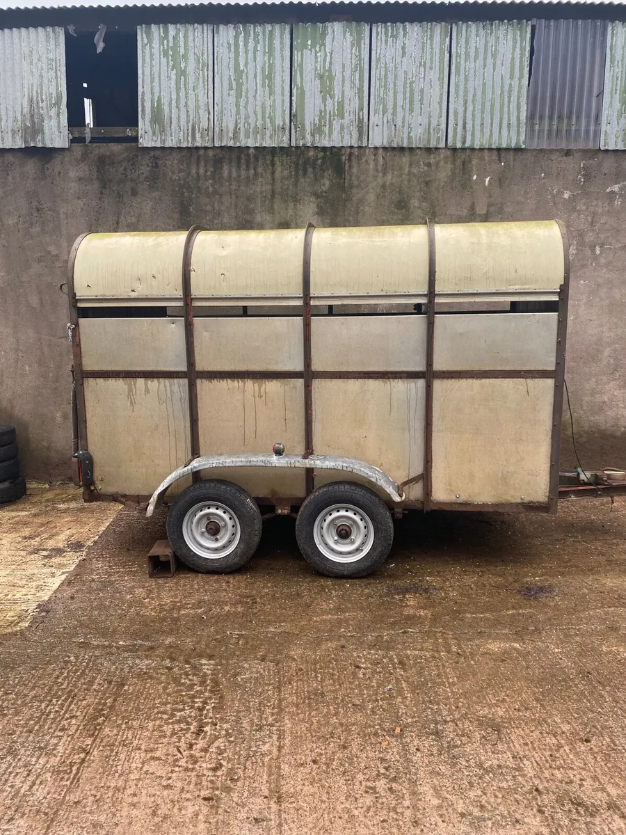 Halmtion 10x5. Cattle trailer - Image 2