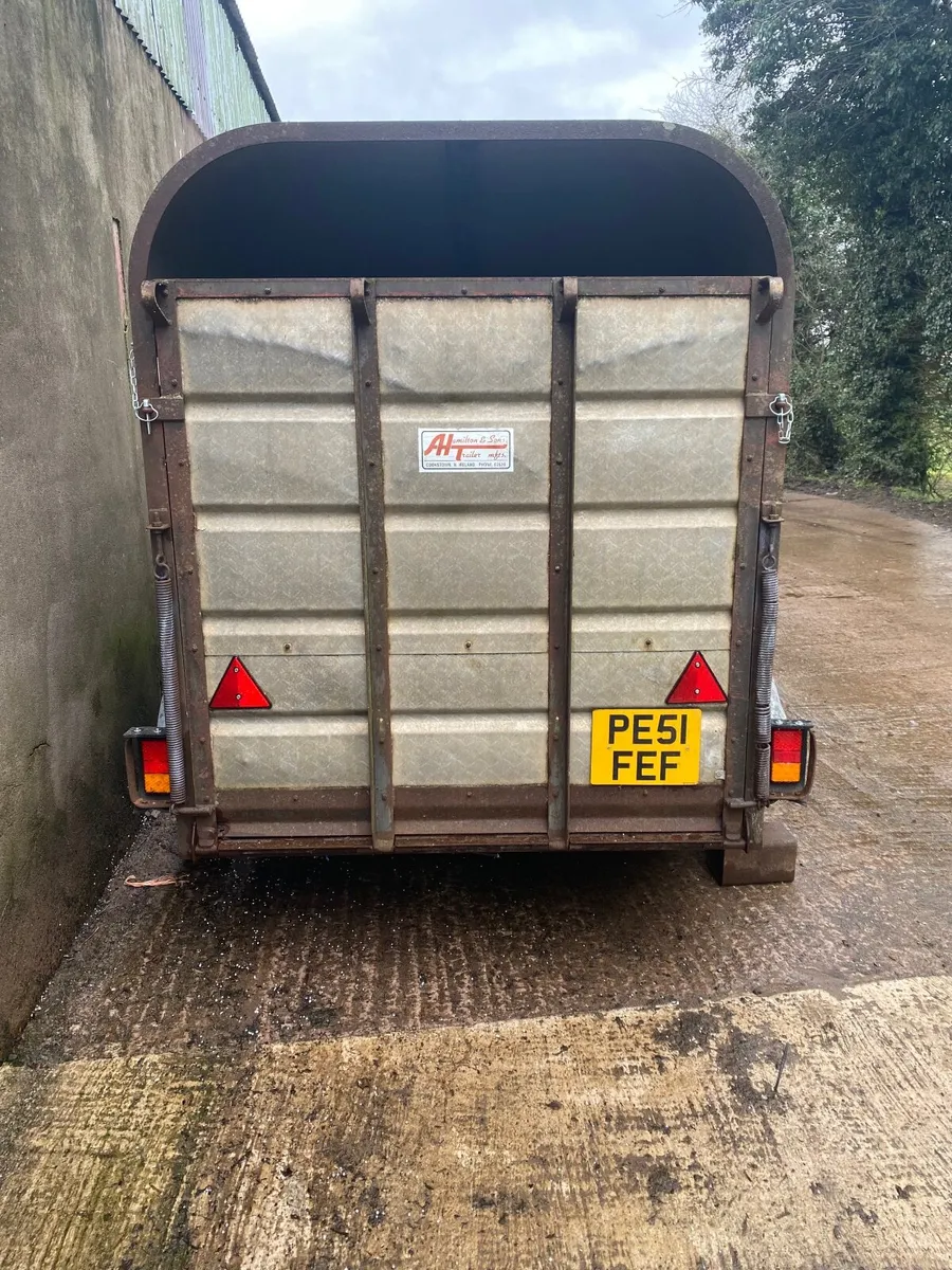 Halmtion 10x5. Cattle trailer - Image 3