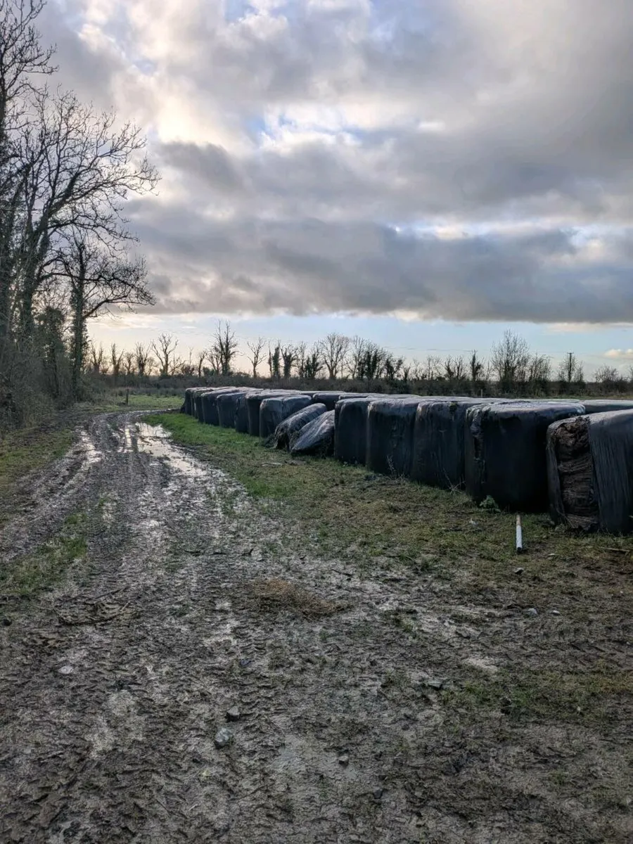 Organic Bales of Rushes