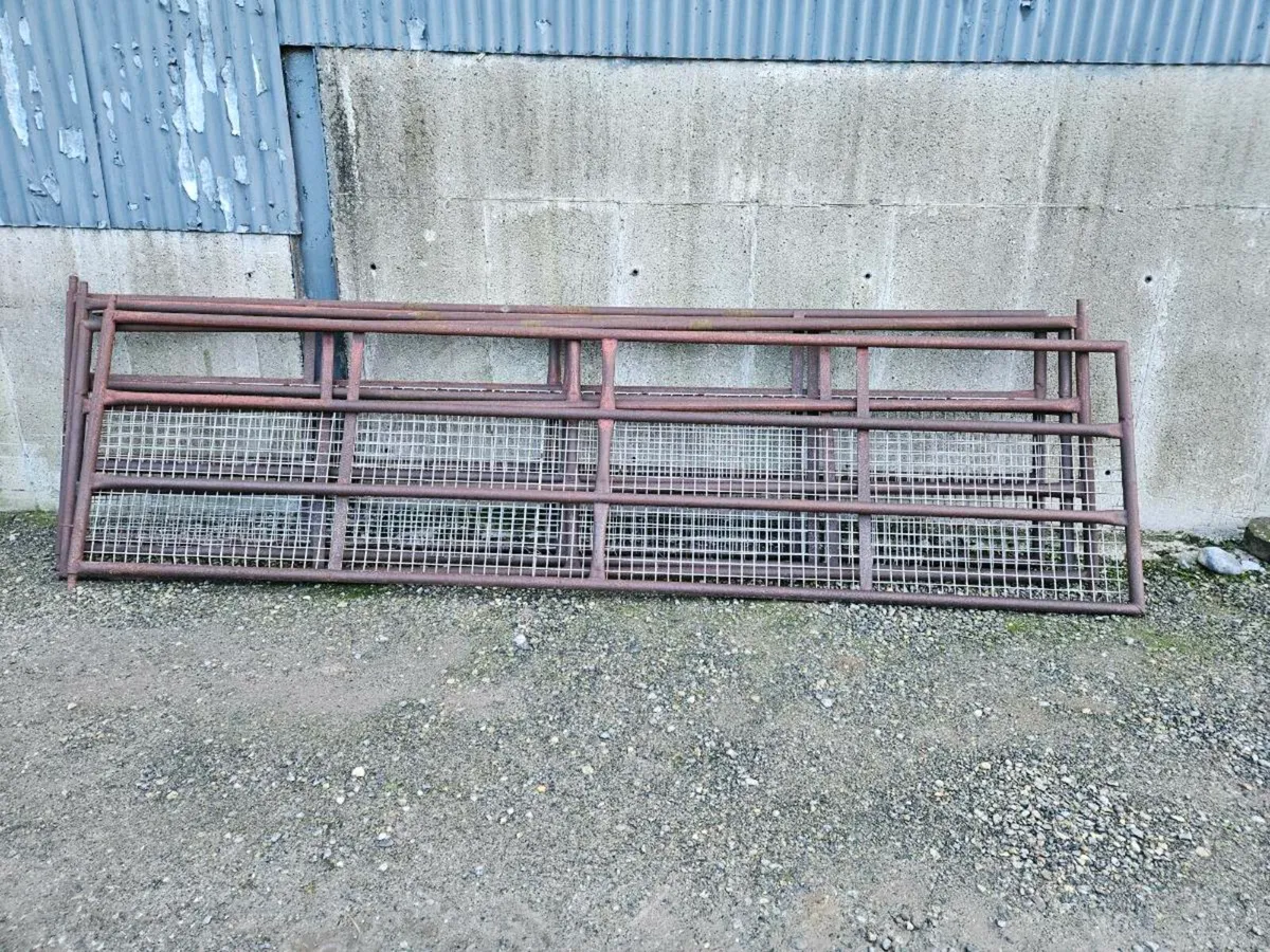 Heavy half mesh gates 14.5ft