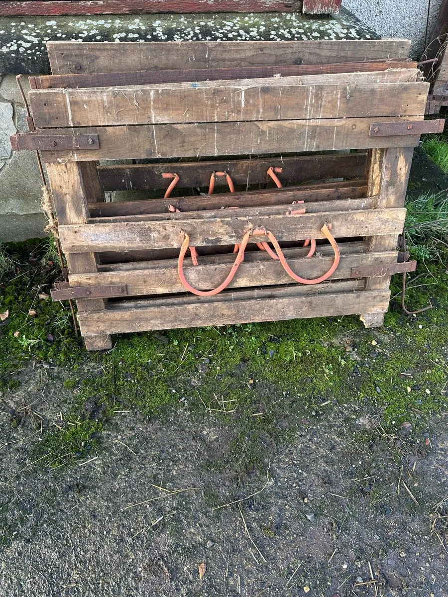 Sheep hurdles/ pens - Image 3