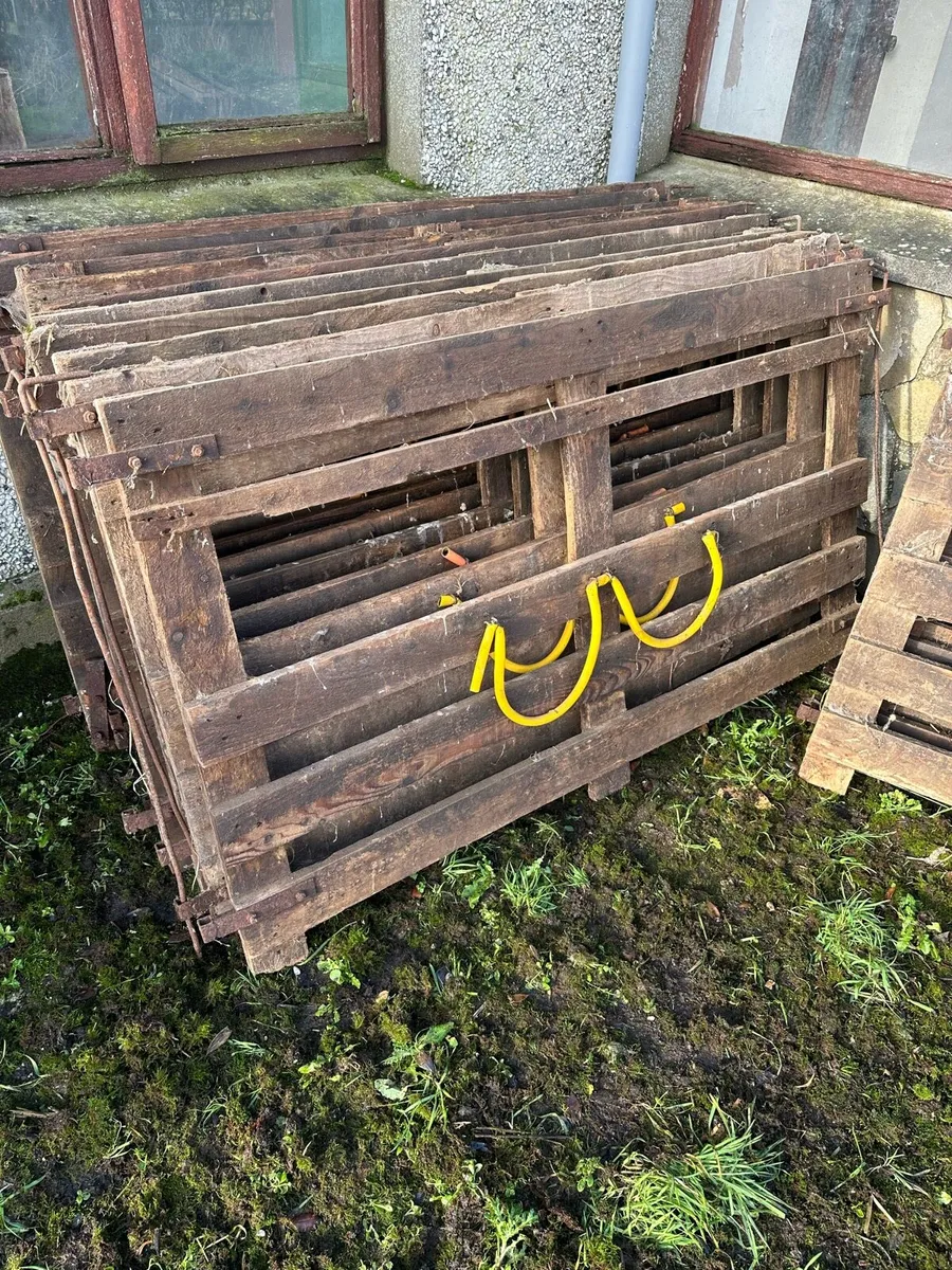 Sheep hurdles/ pens - Image 1