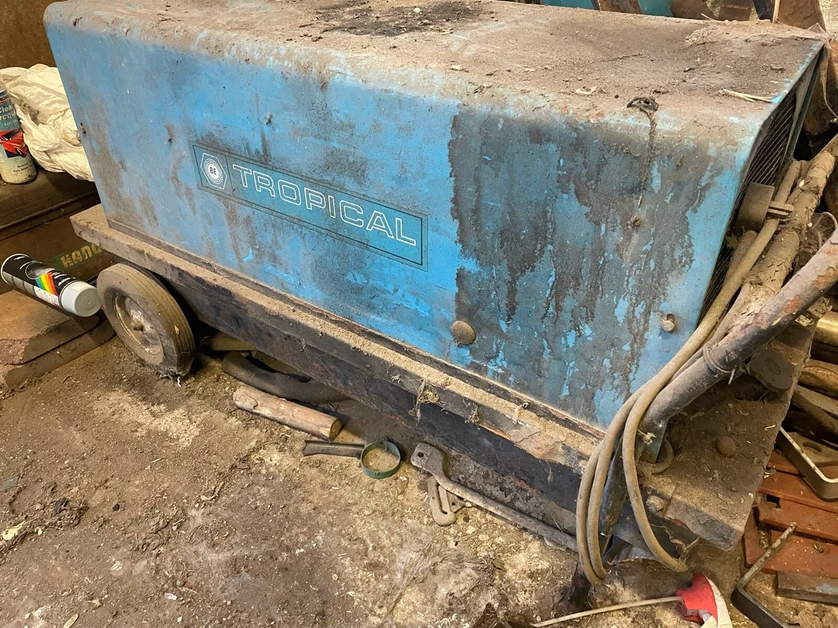 Shed clear out - Image 3