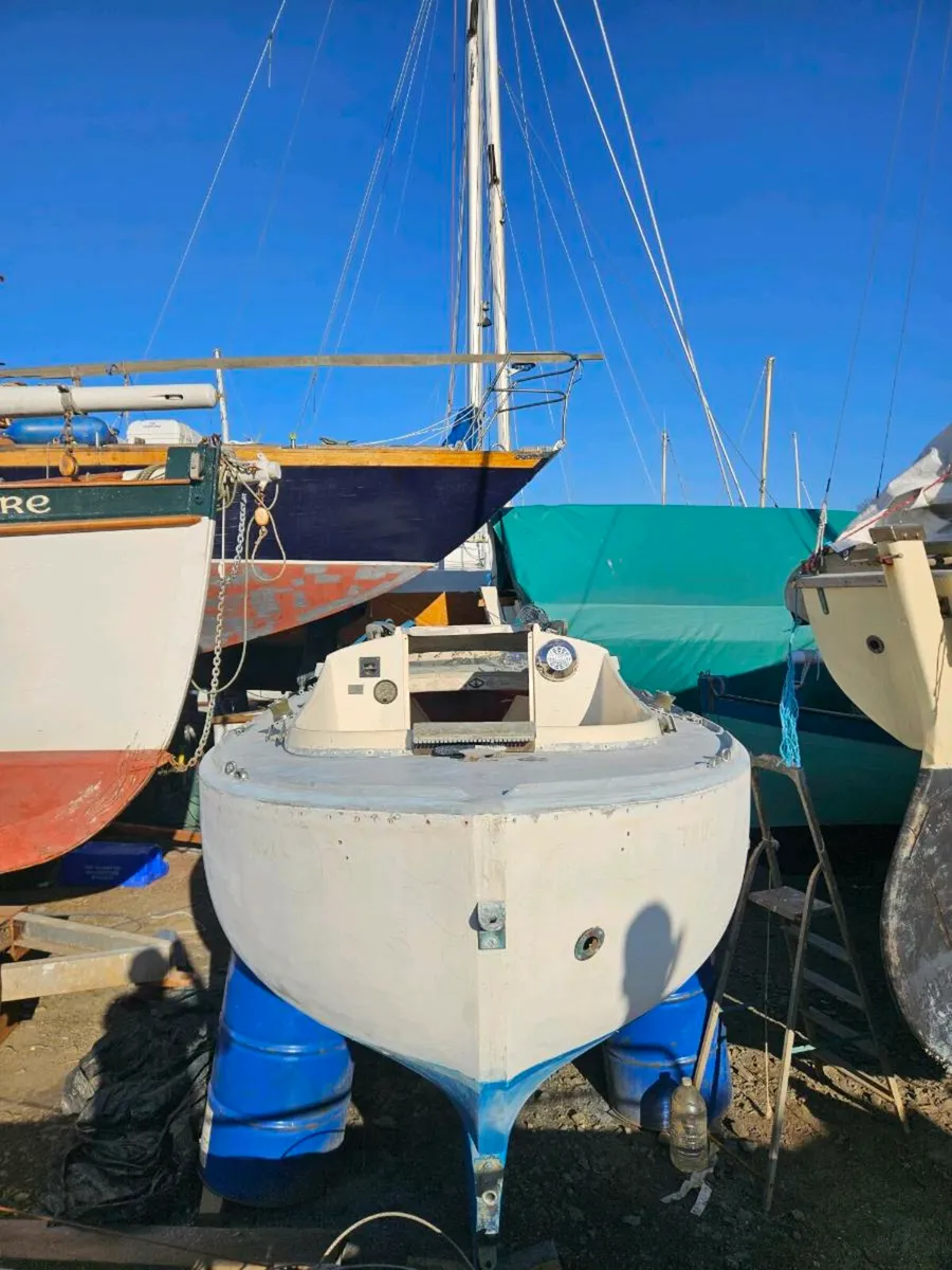 Havsfidra 20 - Image 4