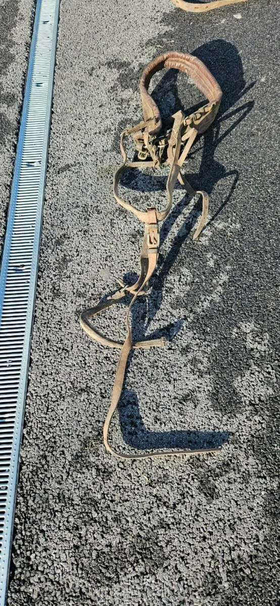 Driving harness - Image 4