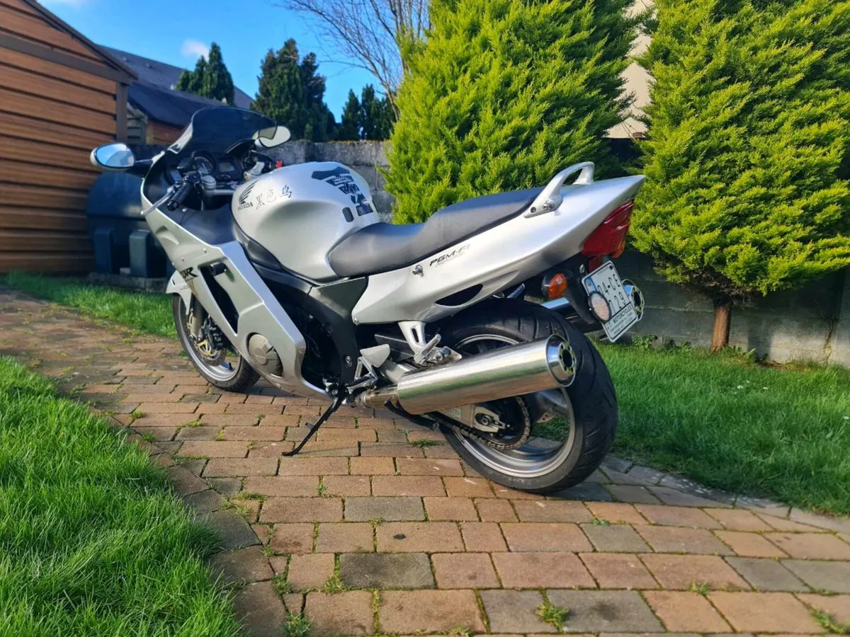 Honda CBR1100XX Blackbird - Image 2