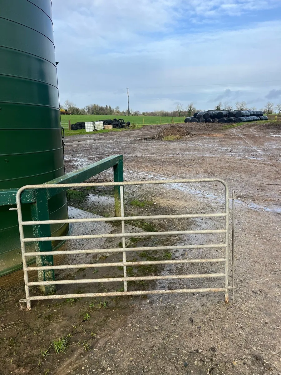 Sheep hurdles - Image 1