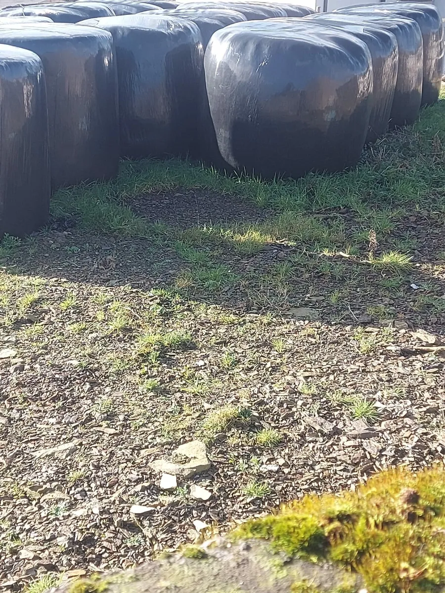 Wholecrop bales - Image 1