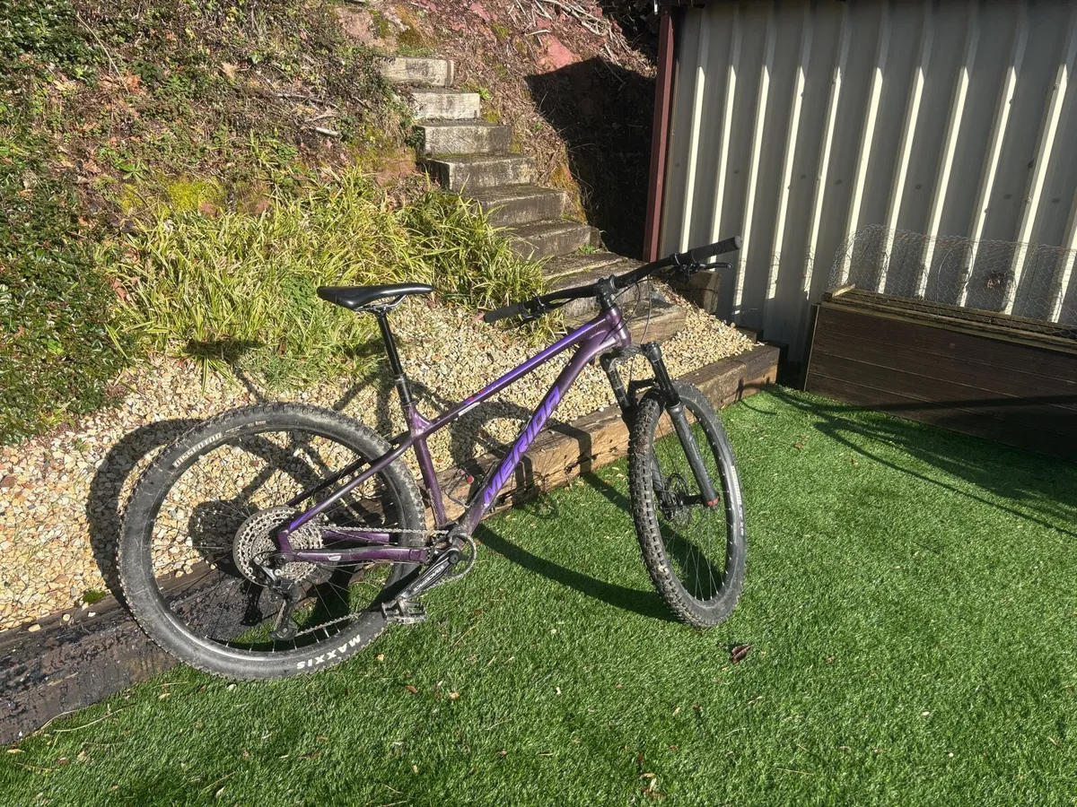 29er Hardtail Mountain Bike m/l - Image 1