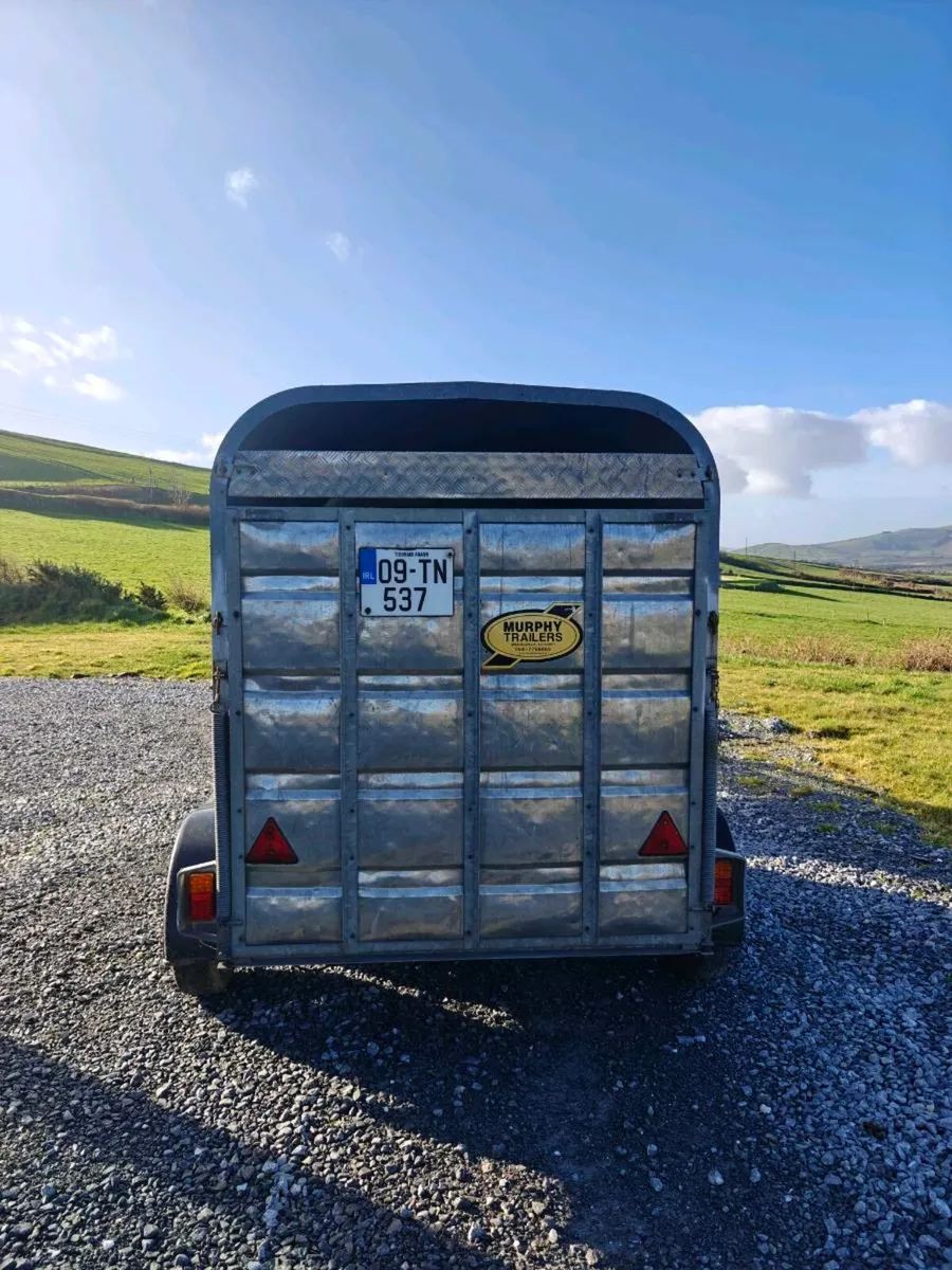 8 x 5 Cattle trailer - Image 3