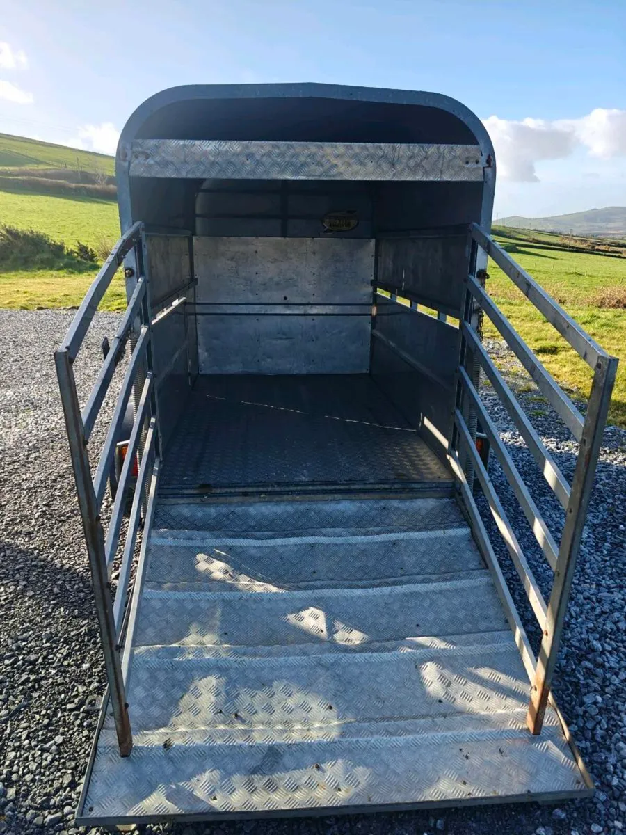 8 x 5 Cattle trailer - Image 4