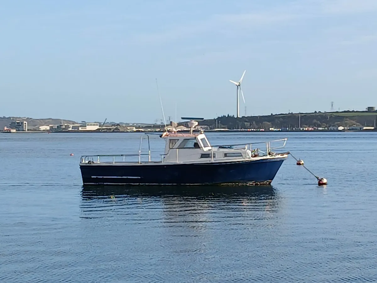 Mitchell 31 - Image 1