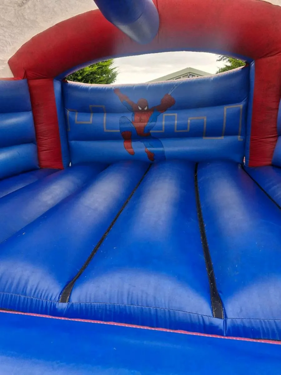 Bouncing castel hire - Image 3