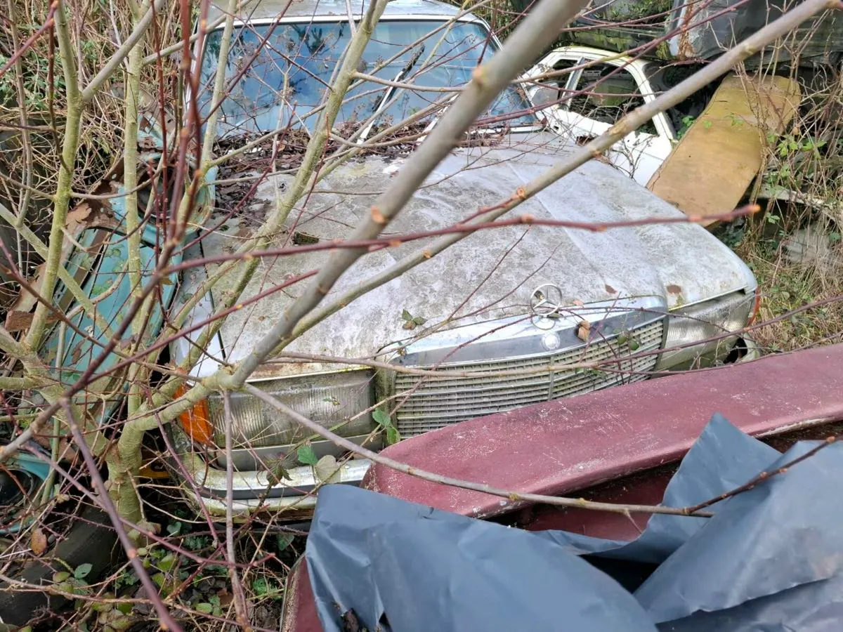 Vintage cars Big clear out - Image 2