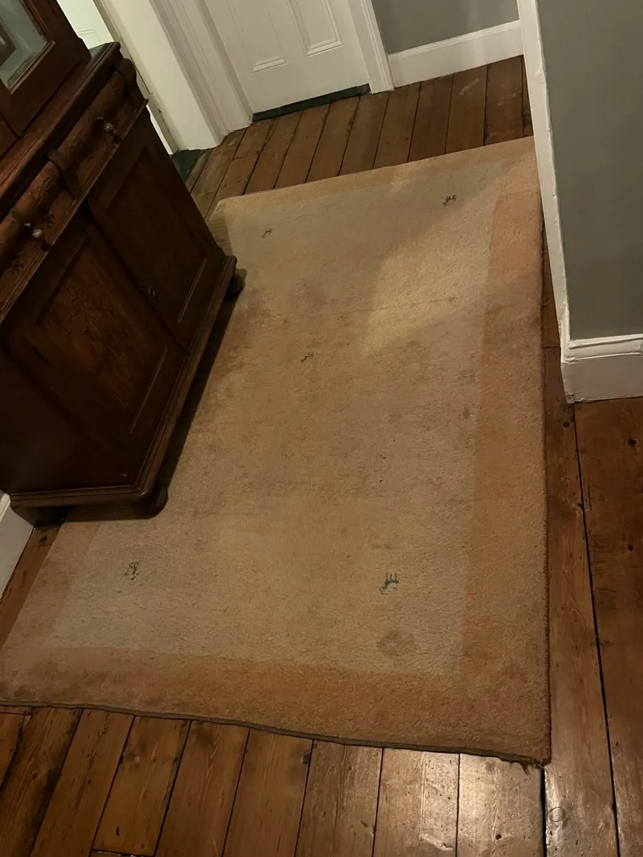 Persian Rug (free) - Image 1