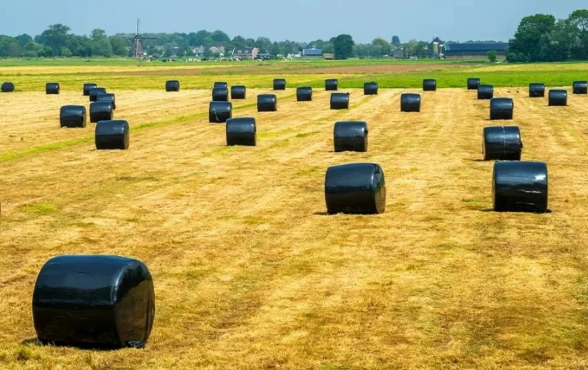 Silage & Hay - Image 1