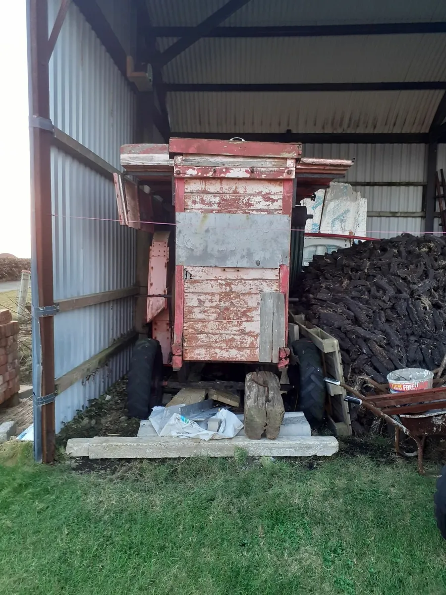 Garvey thrasher - Image 4