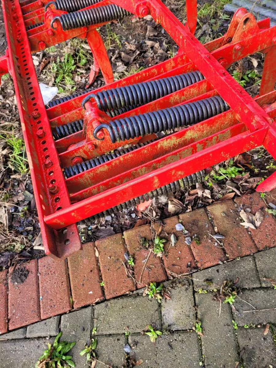 David Brown Spring grubber - Image 3