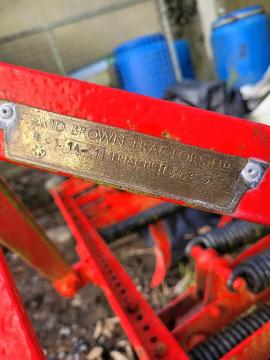 David Brown Spring grubber - Image 4